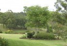 Harrington Parkresidential-landscaping-40.jpg; ?>
